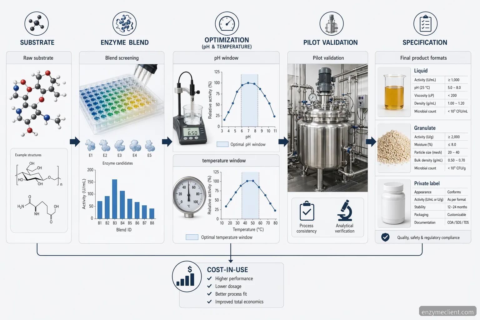 custom enzyme formulation supplier for custom formulation process diagram mapping pH, temperature, substrates, and scale-up