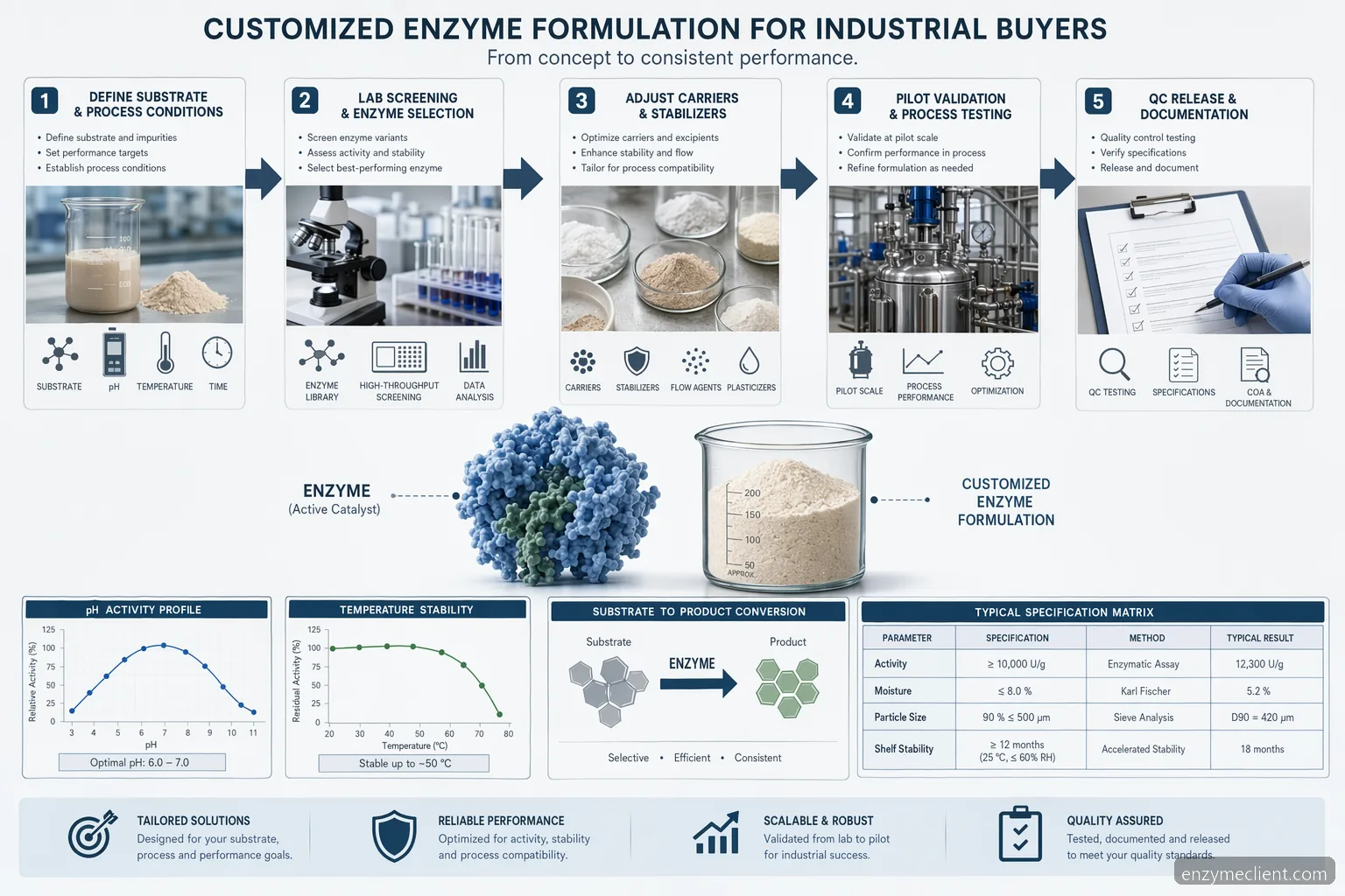 customized enzyme formulation for industrial buyers, process diagram mapping lab screening, pH and temperature validation, QC release
