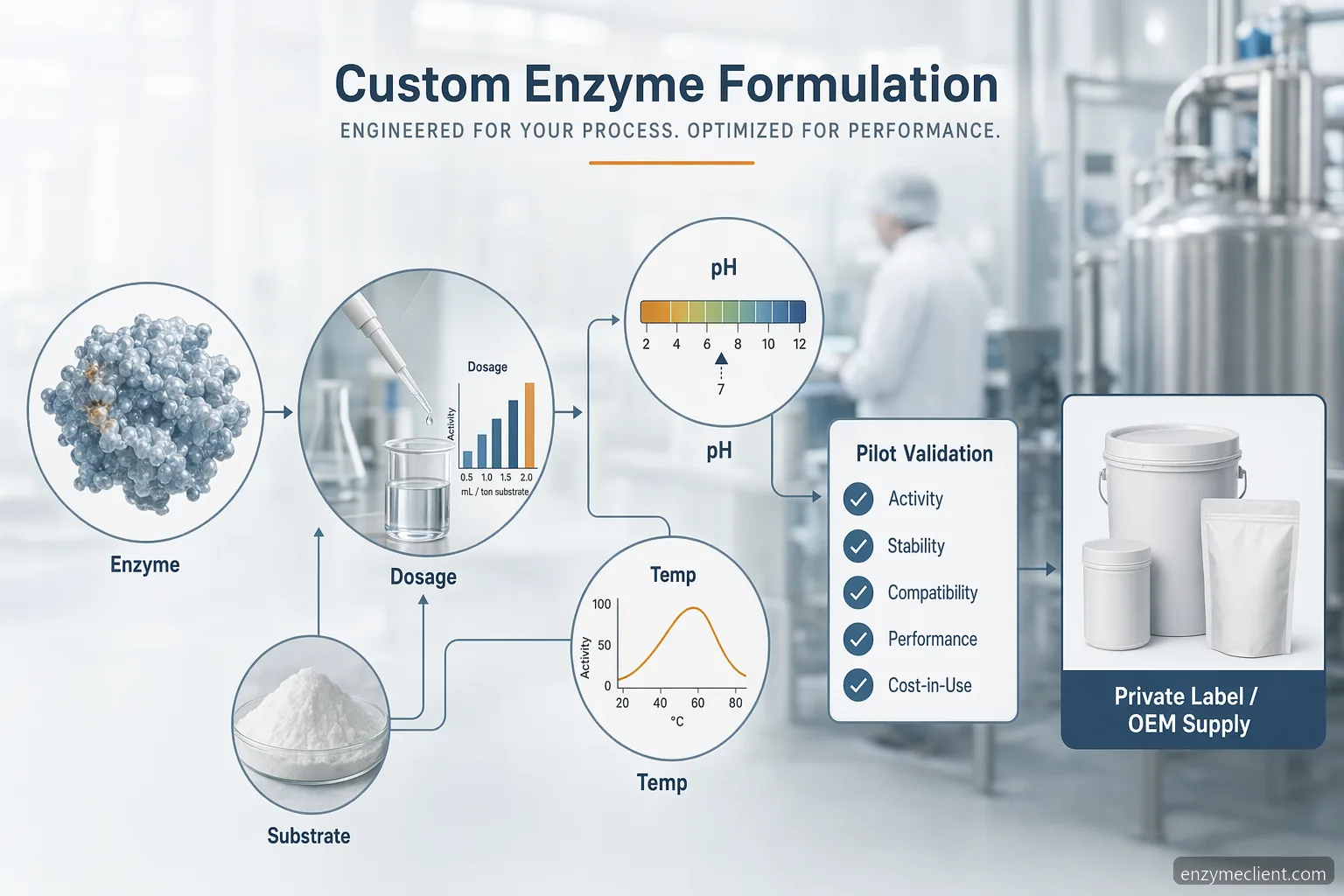 industrial custom enzyme formulation custom formulation guide, showing dosage, pH, temperature, validation, and OEM checks